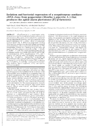 Isolation and Bacterial Expression of a Sesquiterpene Synthase Cdna