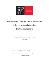 Leon Hartman Thesis