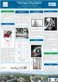 Preparation of a Primary Argon Beam for the CERN Fixed Target Physics ICIS ‘13 D