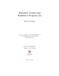 Expander Graphs and Kazhdan's Property (T) Giles Gardam