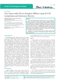 Two Cases with CD-20 Negative Diffuse Large B-Cell Lymphoma and Literature Review