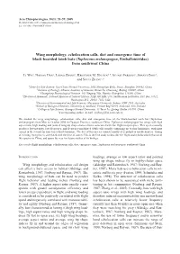 Wei:Layout 1.Qxd