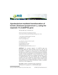 Agrobacterium-Mediated Transformation of Tomato (Solanum Lycopersicum L.) Using the Expansin 10 (Csexp10) Gene