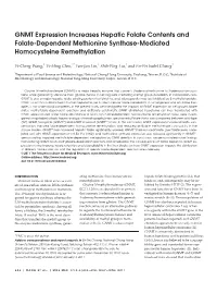 GNMT Expression Increases Hepatic Folate Contents and Folate-Dependent Methionine Synthase-Mediated Homocysteine Remethylation
