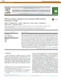 HMGA2 Promotes Adipogenesis by Activating C/EBP&Beta