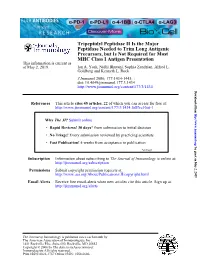 MHC Class I Antigen Presentation Precursors, but Is Not Required for Most Peptidase Needed to Trim Long Antigenic Tripeptidyl Pe