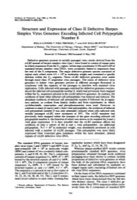 Structure and Expression of Class II Defective Herpes Simplex Virus