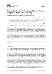 Chemically Denatured Structures of Porcine Pepsin Using Small-Angle X-Ray Scattering