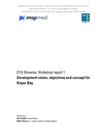 D19 Slovenia: Workshop Report 1: Development Vision, Objectives and Concept For