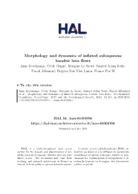Morphology and Dynamics of Inflated Subaqueous Basaltic Lava Flows