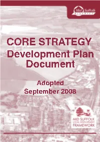 Msdccorestrategydpd.Pdf