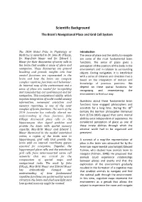 Scientific Background: the Brain's Navigational Place and Grid Cell