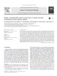 Unique Crystallographic Pattern in the Macro to Atomic Structure Of