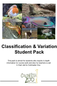 Classification & Variation Student Pack