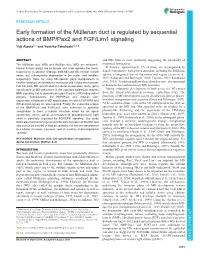Early Formation of the Müllerian Duct Is Regulated by Sequential Actions Of