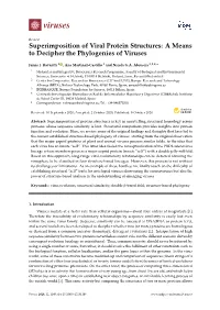 Superimposition of Viral Protein Structures: a Means to Decipher the Phylogenies of Viruses