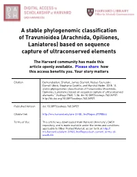 A Stable Phylogenomic Classification of Travunioidea (Arachnida, Opiliones, Laniatores) Based on Sequence Capture of Ultraconserved Elements