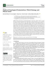 Study of Oenological Fermentation: Which Strategy and Which Tools?