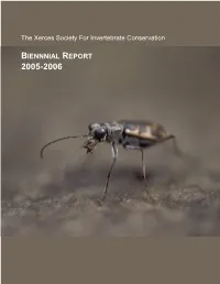2005-6 Report