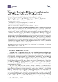 Eukaryotic Replicative Helicase Subunit Interaction with DNA and Its Role in DNA Replication