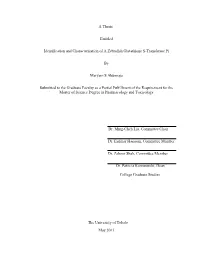 A Thesis Entitled Identification and Characterization of a Zebrafish