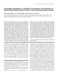 Presynaptic Modulation of Synaptic Transmission and Plasticity by Brain-Derived Neurotrophic Factor in the Developing Hippocampus