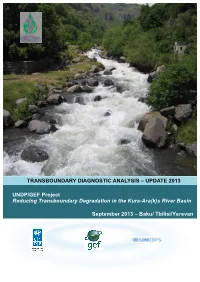 Transboundary Diagnostic Analysis – Update 2013
