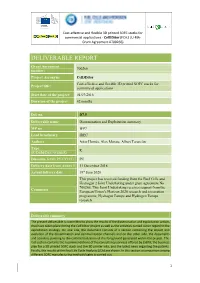 Deliverable Report
