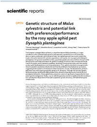 Genetic Structure of Malus Sylvestris and Potential Link with Preference