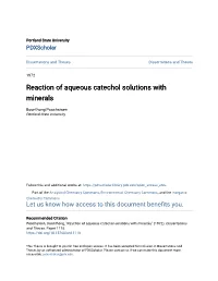 Reaction of Aqueous Catechol Solutions with Minerals