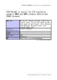 PIP3-Phldb2 Is Crucial for LTP Regulating Synaptic NMDA and AMPA Receptor Density and PSD95 Turnover