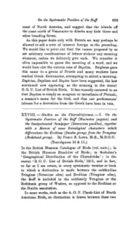 Studies on the Charadriiformes.I. on the Systematic Position of the Ruff