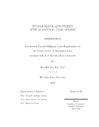Bundle Block Adjustment with 3D Natural Cubic Splines