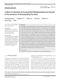 Culture of Attached and Suspended Rhodopseudomonas Faecalis in the Presence of Decomposing Fish Feed