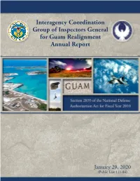 Interagency Coordination Group of Inspectors