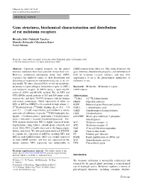 Gene Structures, Biochemical Characterization and Distribution of Rat Melatonin Receptors