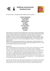 Wildflower Growing Guide Rewilding Project