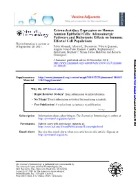 Ectonucleotidase Expression on Human Amnion Epithelial Cells