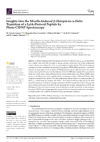 Hairpin-To–Helix Transition of a Lyta-Derived Peptide By