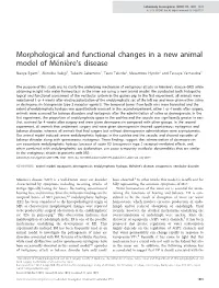 Morphological and Functional Changes in a New Animal Model Of