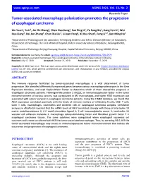 Tumor-Associated Macrophage Polarization Promotes the Progression of Esophageal Carcinoma