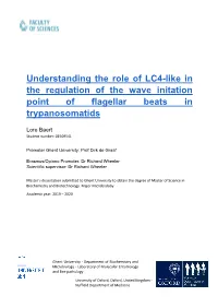 Understanding the Role of LC4-Like in the Regulation of the Wave Initation Point of Flagellar Beats in Trypanosomatids