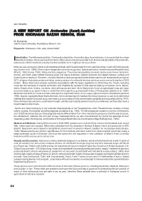 A NEW REPORT on Arctoseius (Acari; Ascidae) from KHORASAN RAZAVI REGION, IRAN