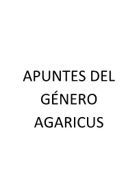 Claves De Agaricus