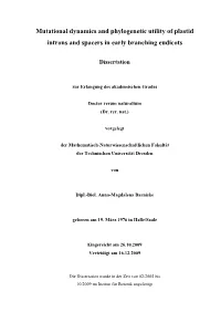 Mutational Dynamics and Phylogenetic Utility of Plastid Introns and Spacers in Early Branching Eudicots Supervisor: Prof