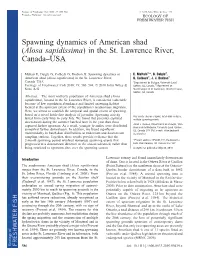 Spawning Dynamics of American Shad (Alosa Sapidissima) in the St. Lawrence River, Canadausa