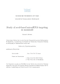 Study of Seed-Based Microrna Targeting in Mammals