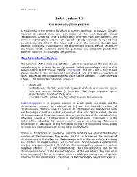 Unit 4 Lecture 12