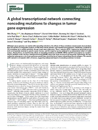 A Global Transcriptional Network Connecting Noncoding Mutations to Changes in Tumor Gene Expression