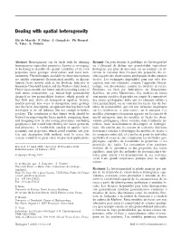 Dealing with Spatial Heterogeneity